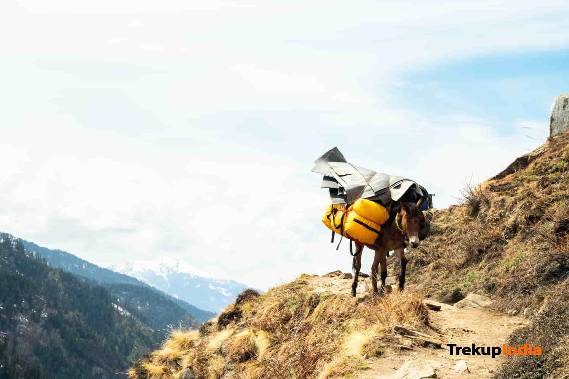 Har Ki Dun Trek