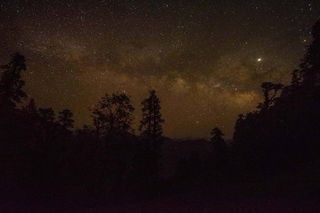 Night Trekking Tips: How to Stay Safe and Enjoy Hiking After Dark