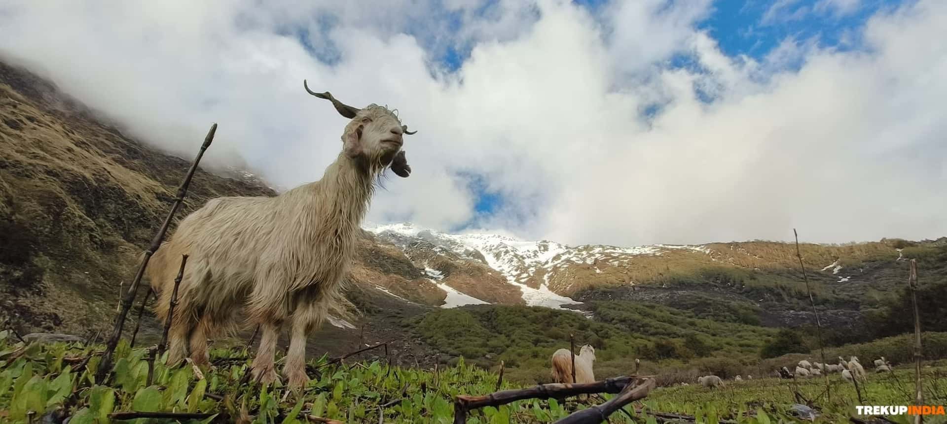 Offbeat Trek - A Journey Through Forgotten Paths