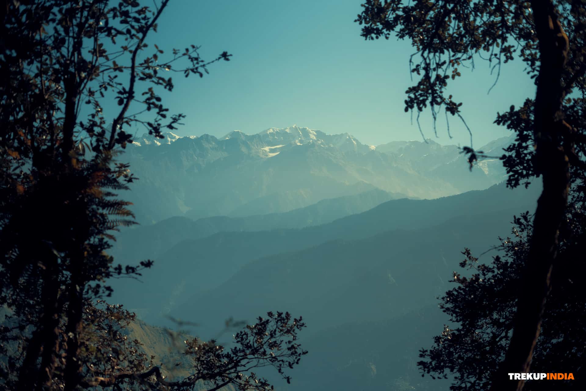 Why You Should Do Dayara Bugyal Trek