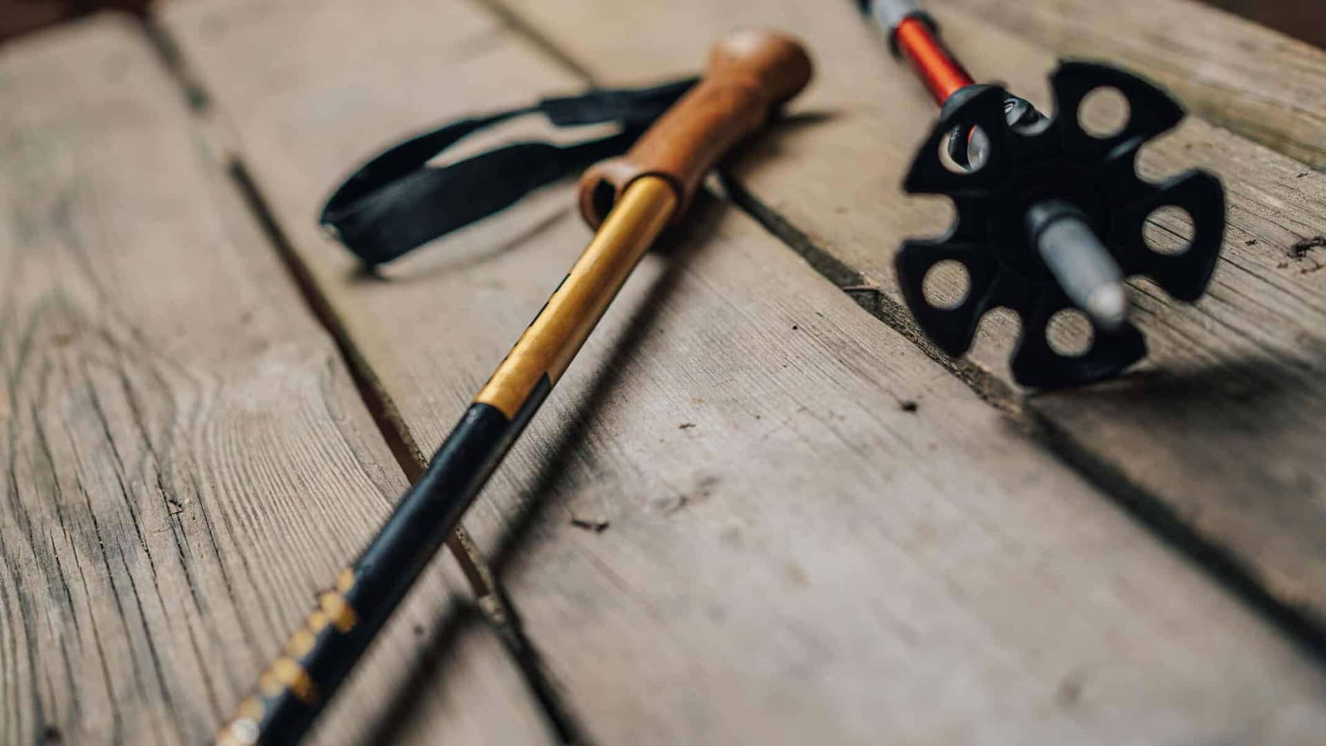 Trekking Pole Techniques & Benefits for Indian Trails