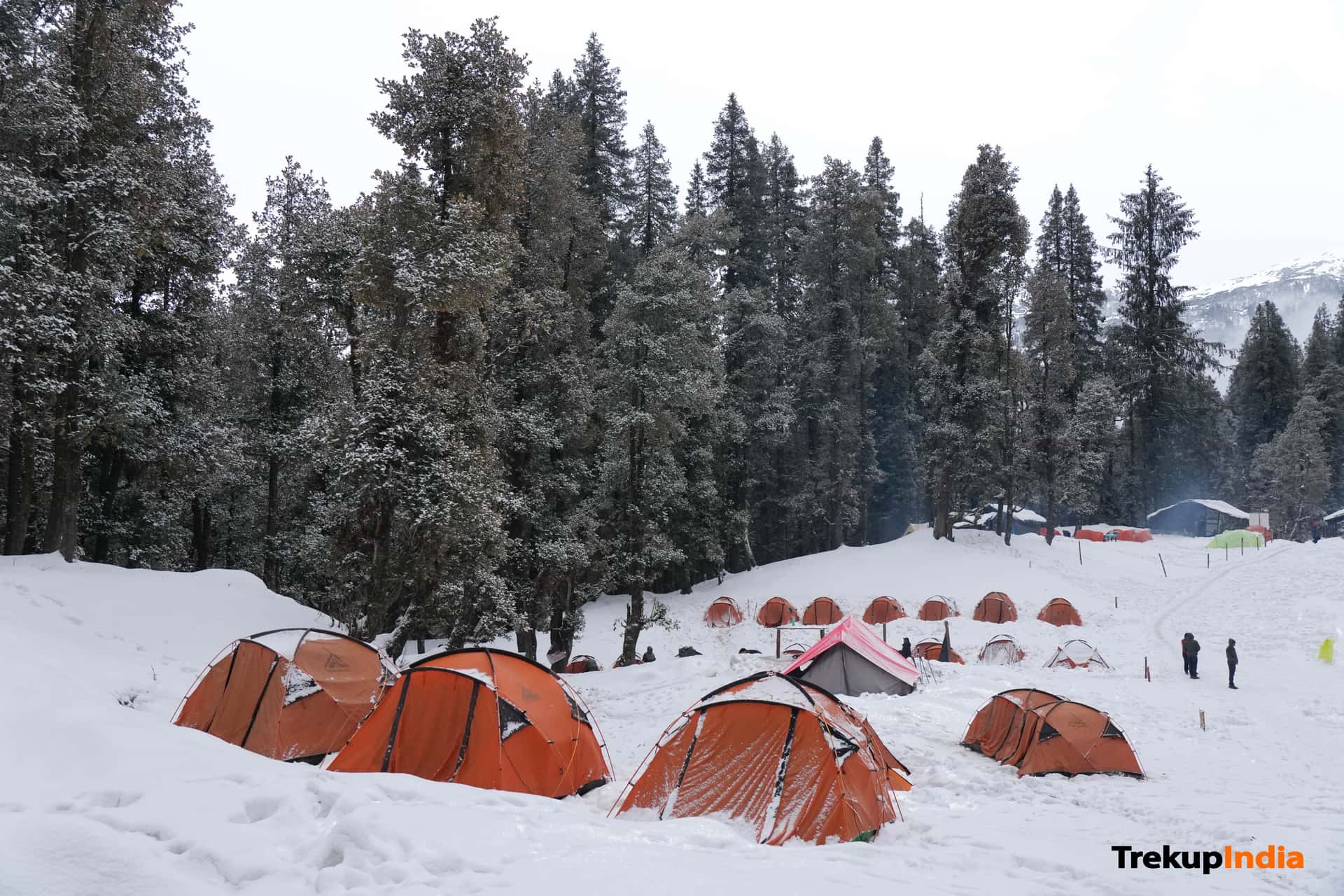 Trek the Himalayas: Essential Tips for First-Time Trekkers