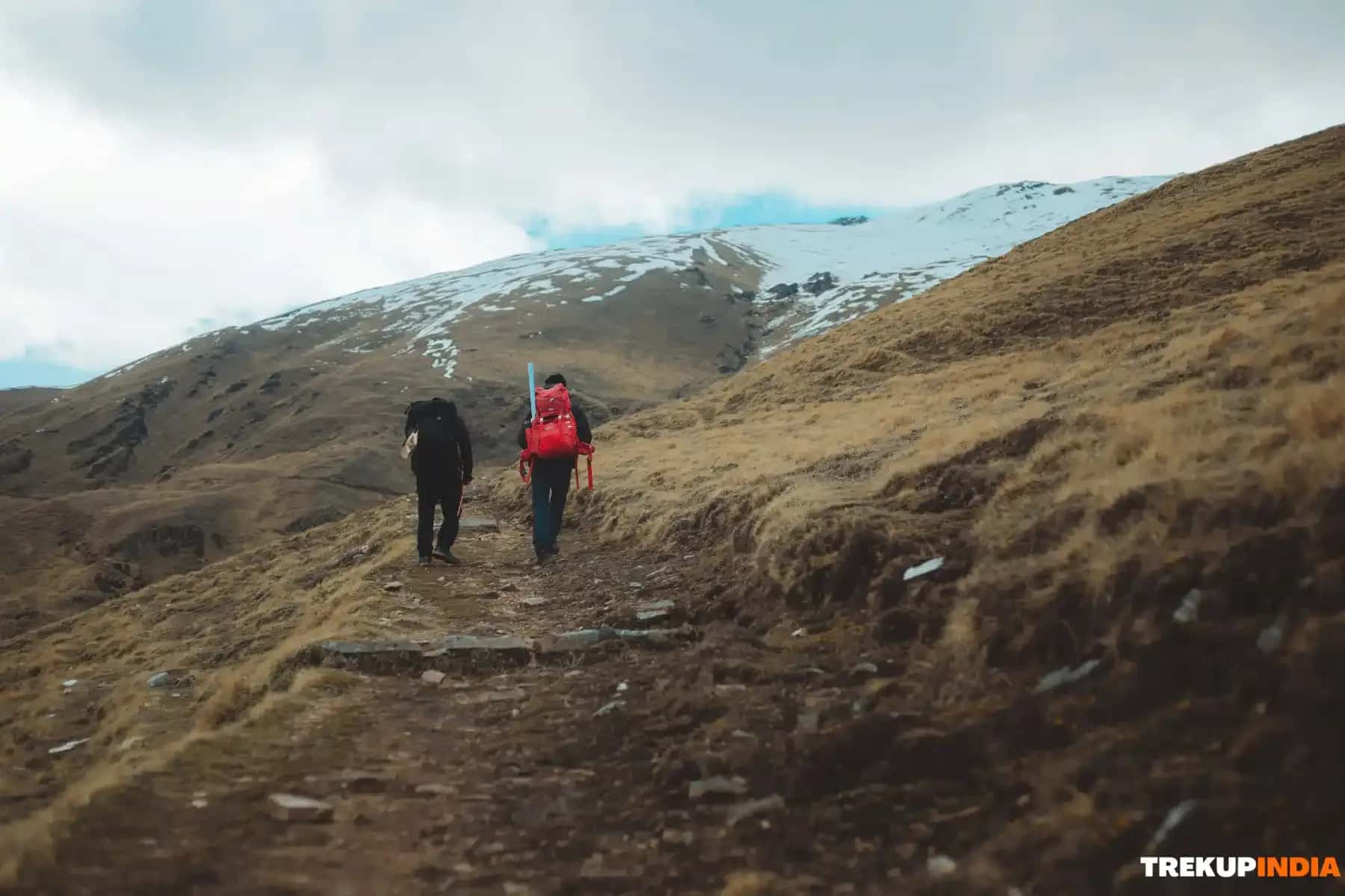 Why You Should Do Ali Bedni Bugyal Trek