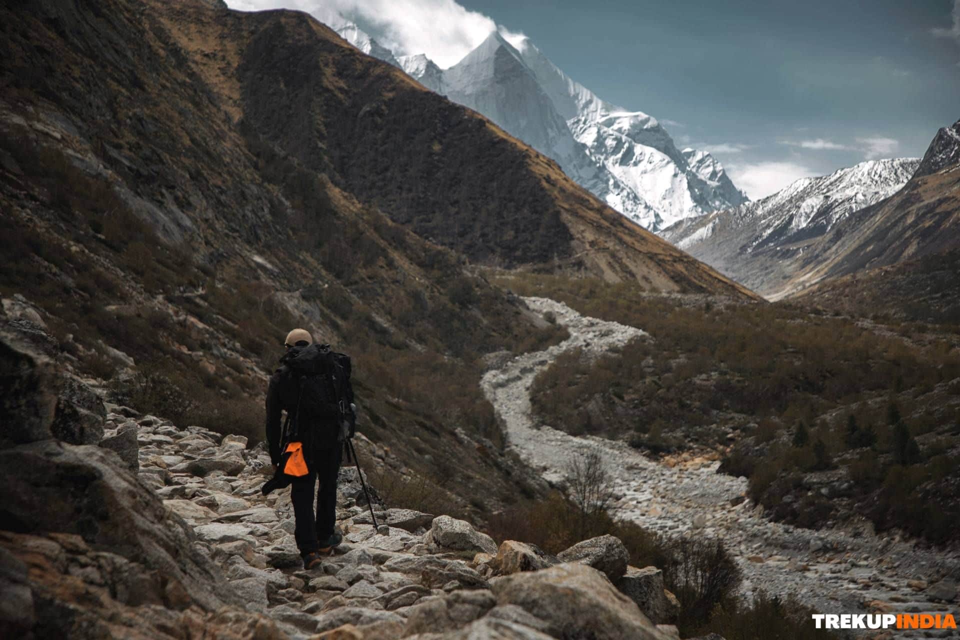 A Tale of Bravery and Brotherhood on the Gaumukh Tapovan Trek
