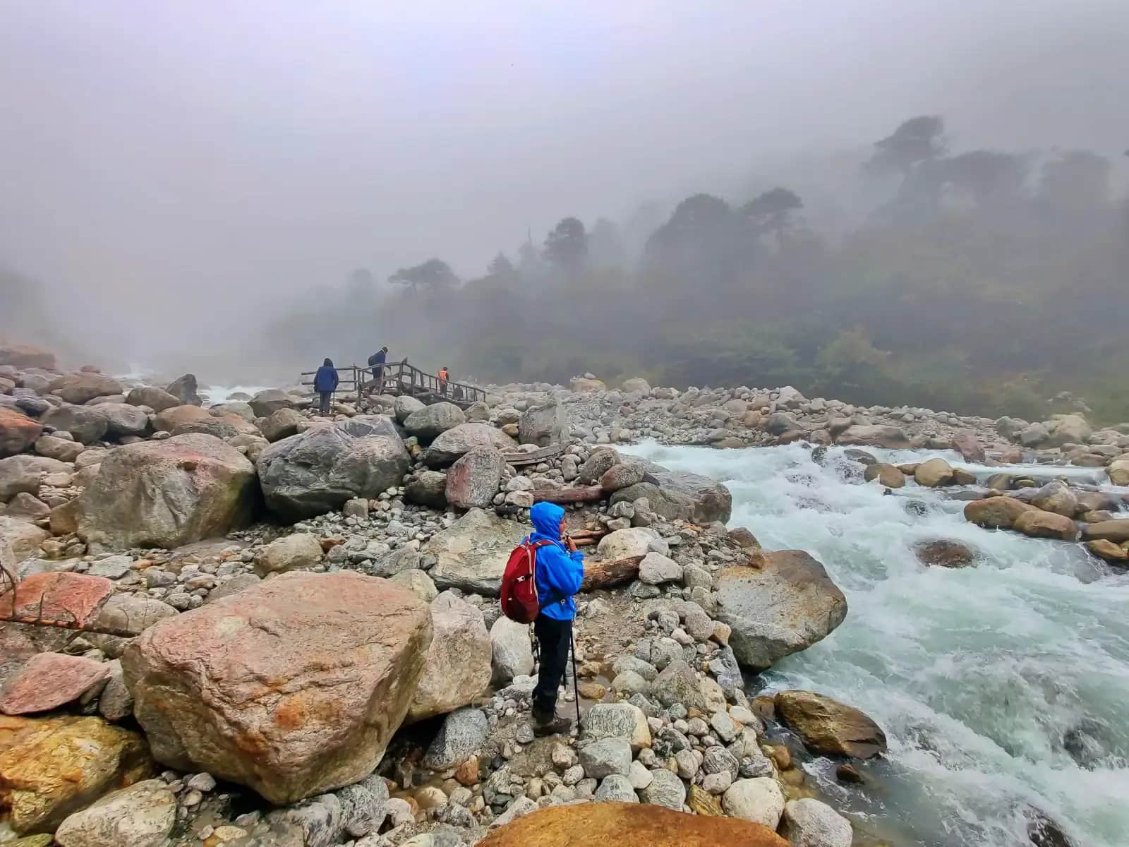 Why You Should Do Goechala Trek