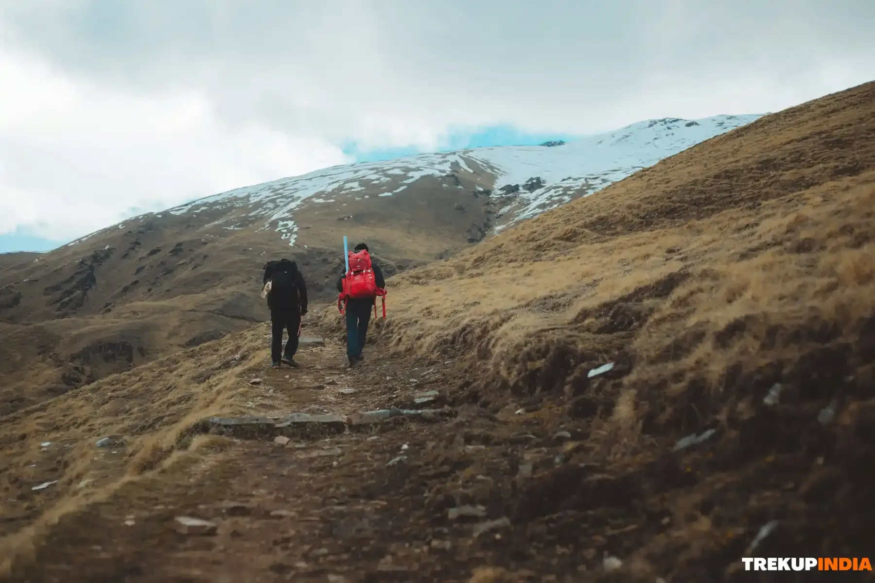 Why You Should Do Ali Bedni Bugyal Trek