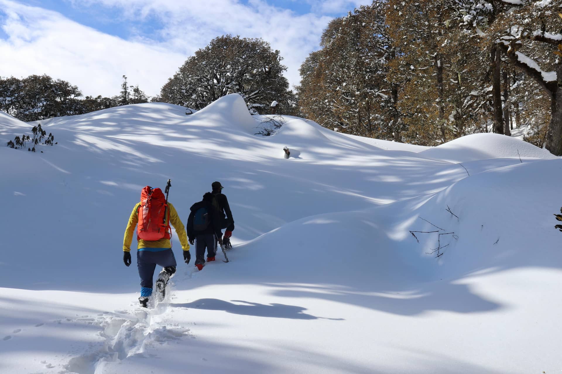Pangarchulla Peak Trek