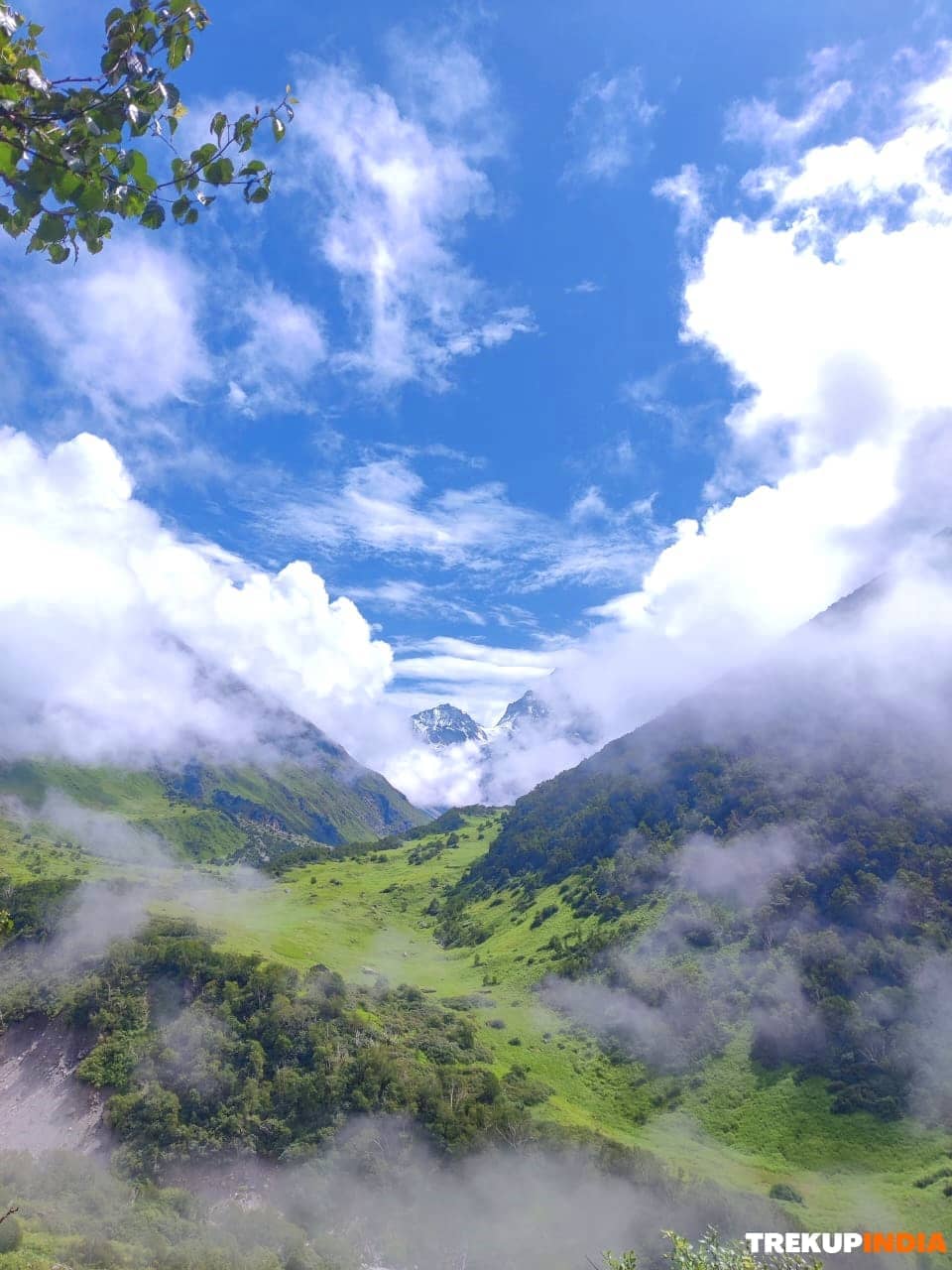 Valley Of Flowers Trek
