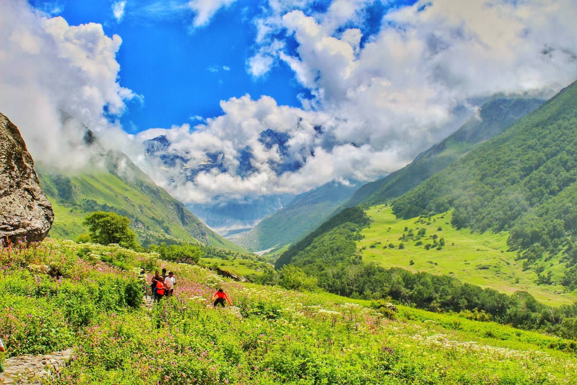 Valley Of Flowers Trek