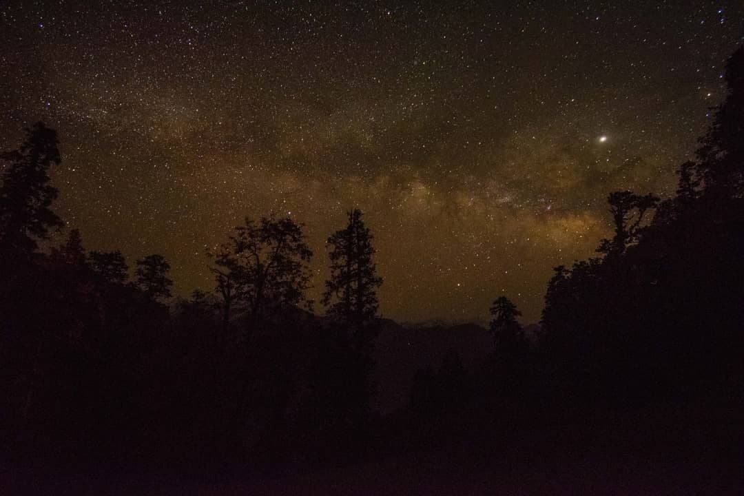 Night Trekking Tips: How to Stay Safe and Enjoy Hiking After Dark