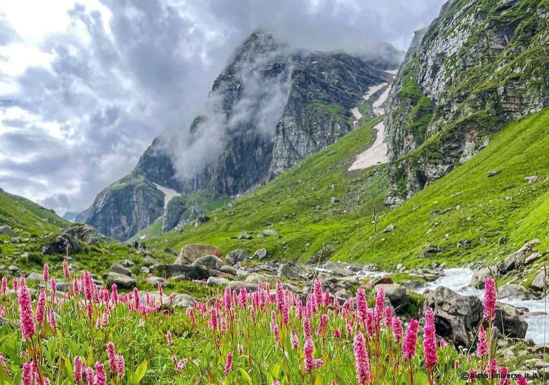 What makes Hampta Pass the Valley of Flowers in Himachal Pradesh?