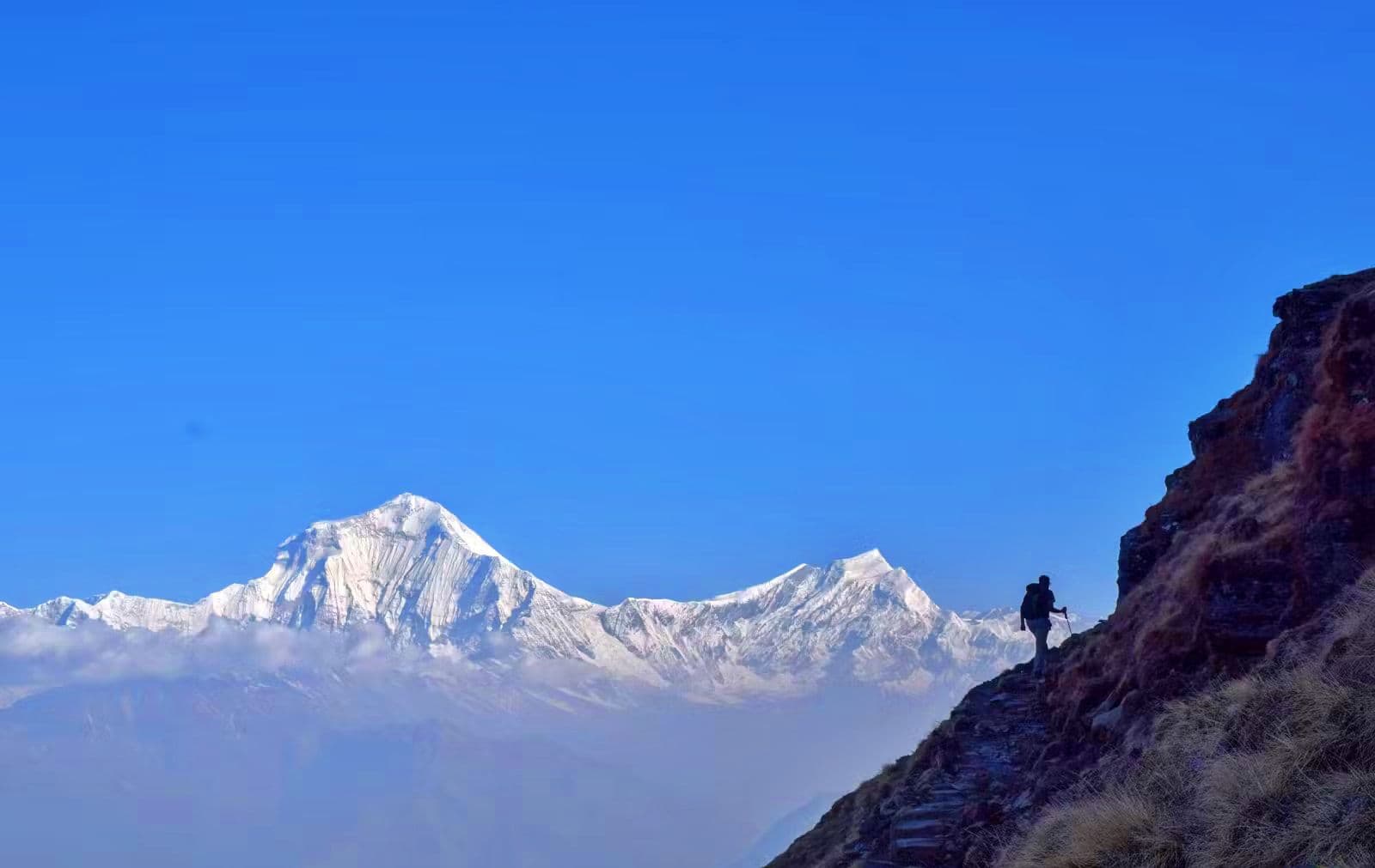 Gallery img 1 Gallery img 1