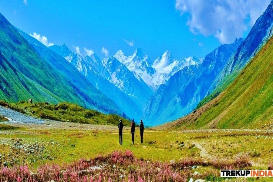 Gallery img 7 Gallery img 7