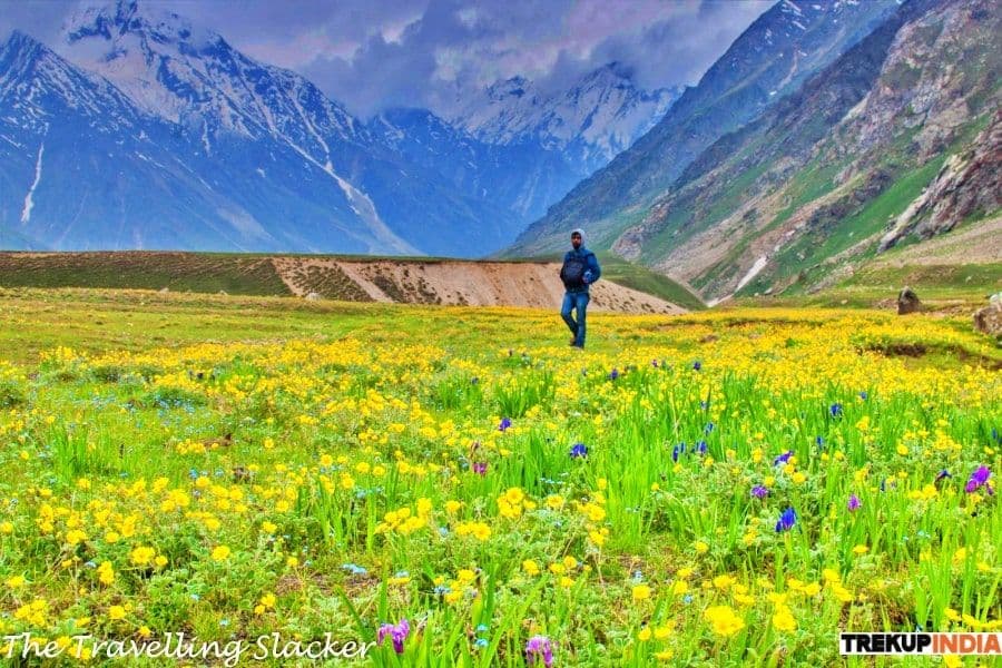 Gallery img 6 Gallery img 6