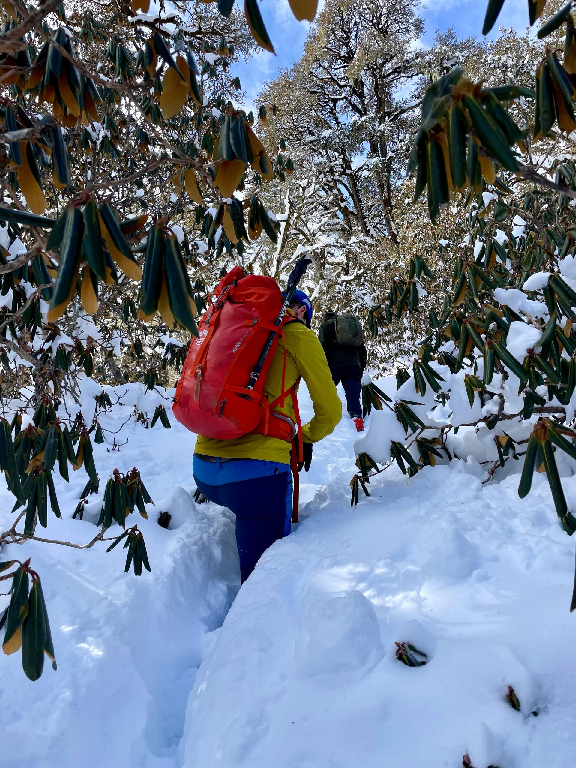 Pangarchulla Peak Trek – Day 3