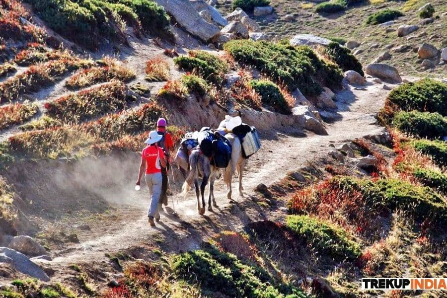 Gallery img 5 Gallery img 5