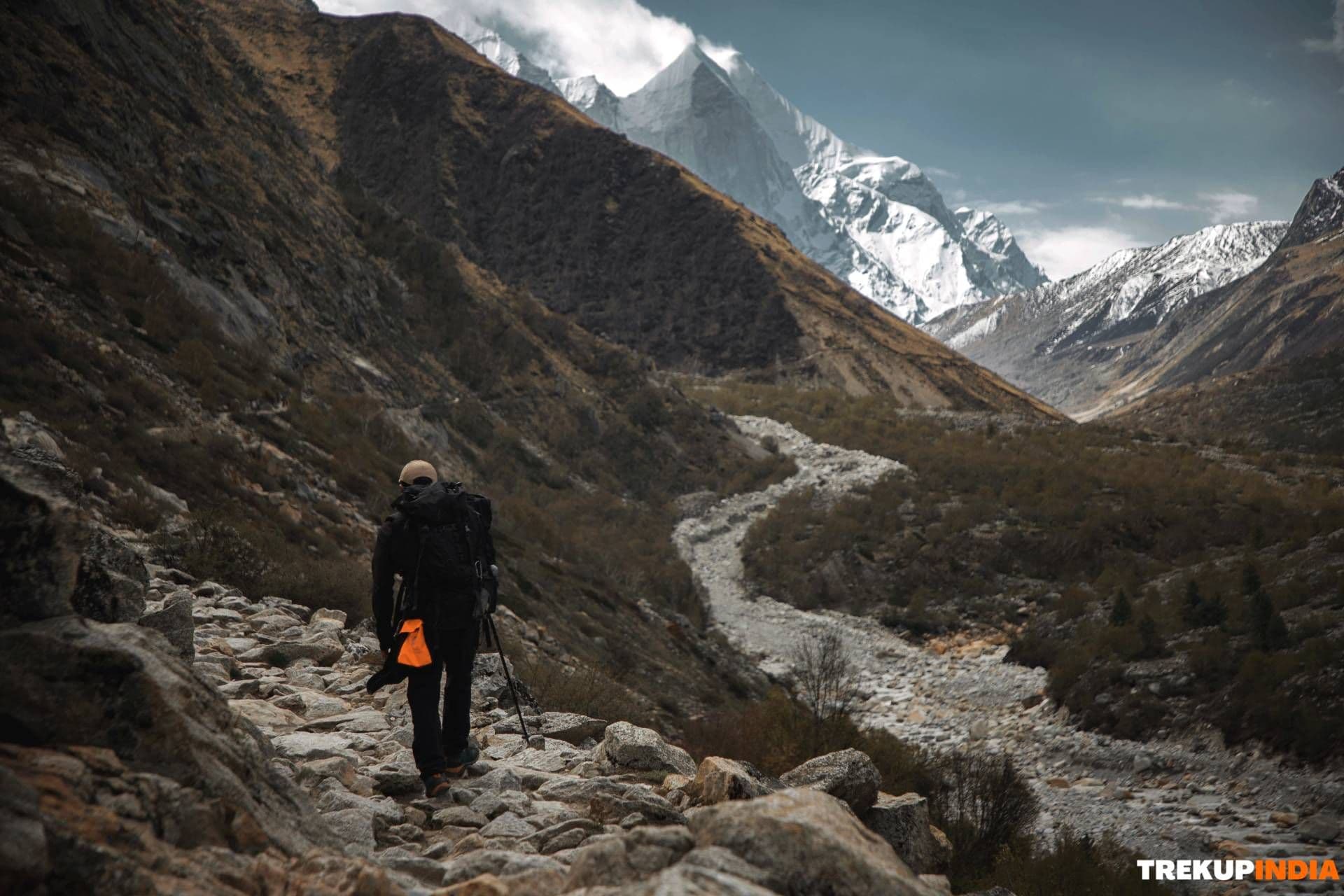 A Tale of Bravery and Brotherhood on the Gaumukh Tapovan Trek