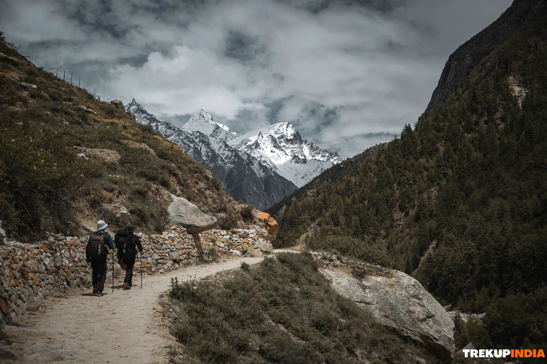 Gaumukh Tapovan Trek – Day 6