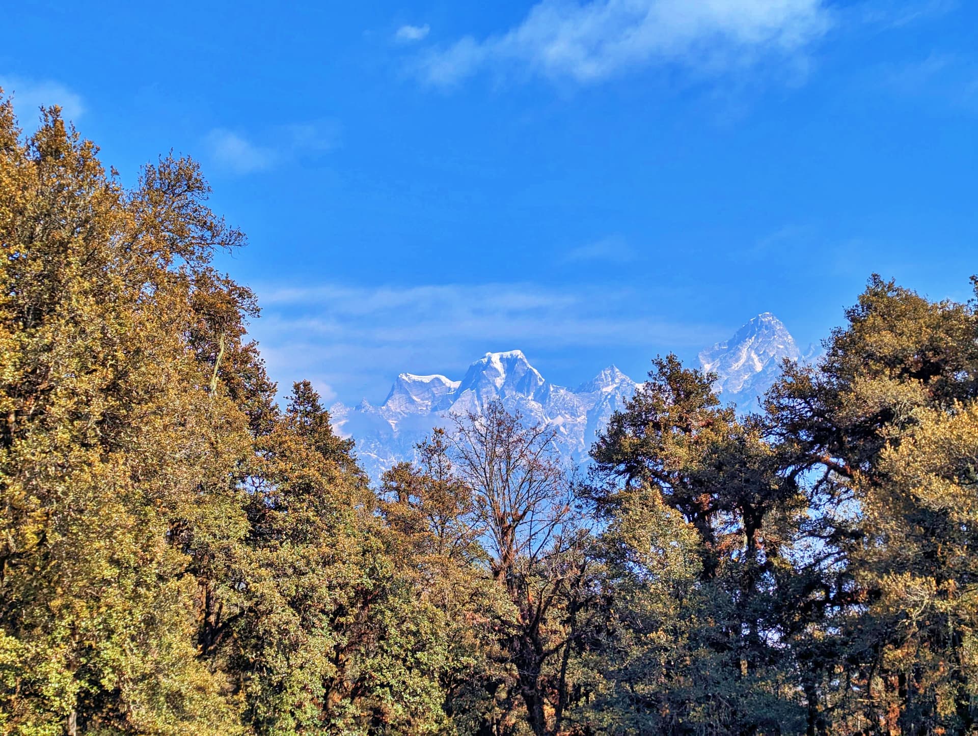 Pangarchulla Peak Trek – Day 2