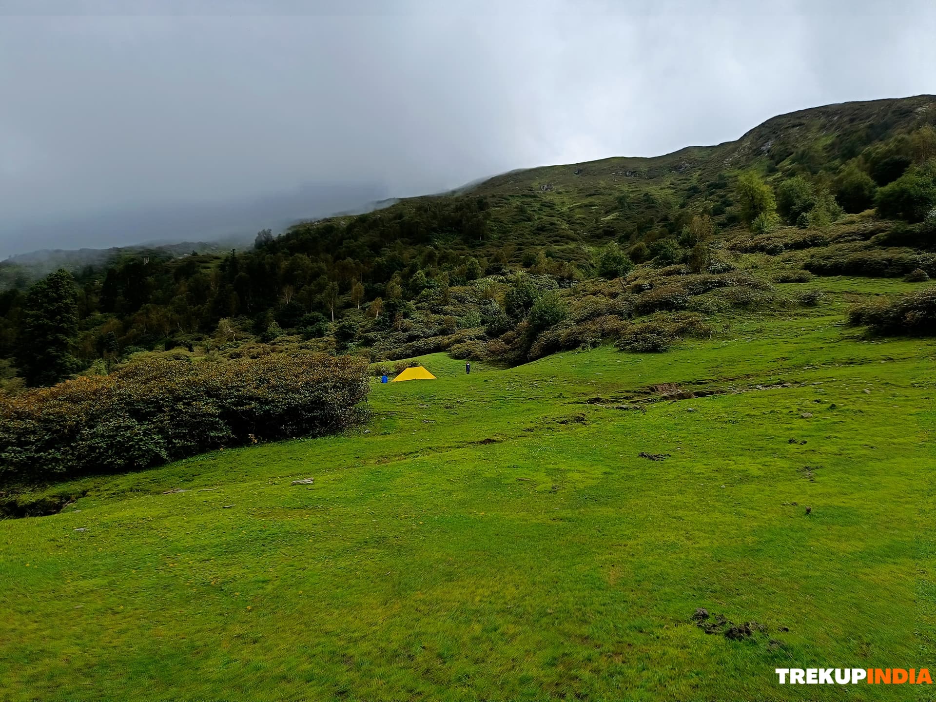Why You Should Do Phulara Ridge Trek