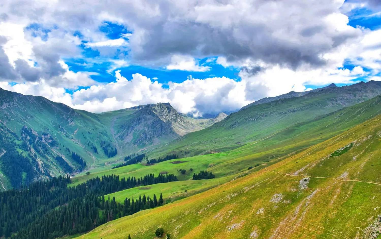 Gallery img 1 Gallery img 1