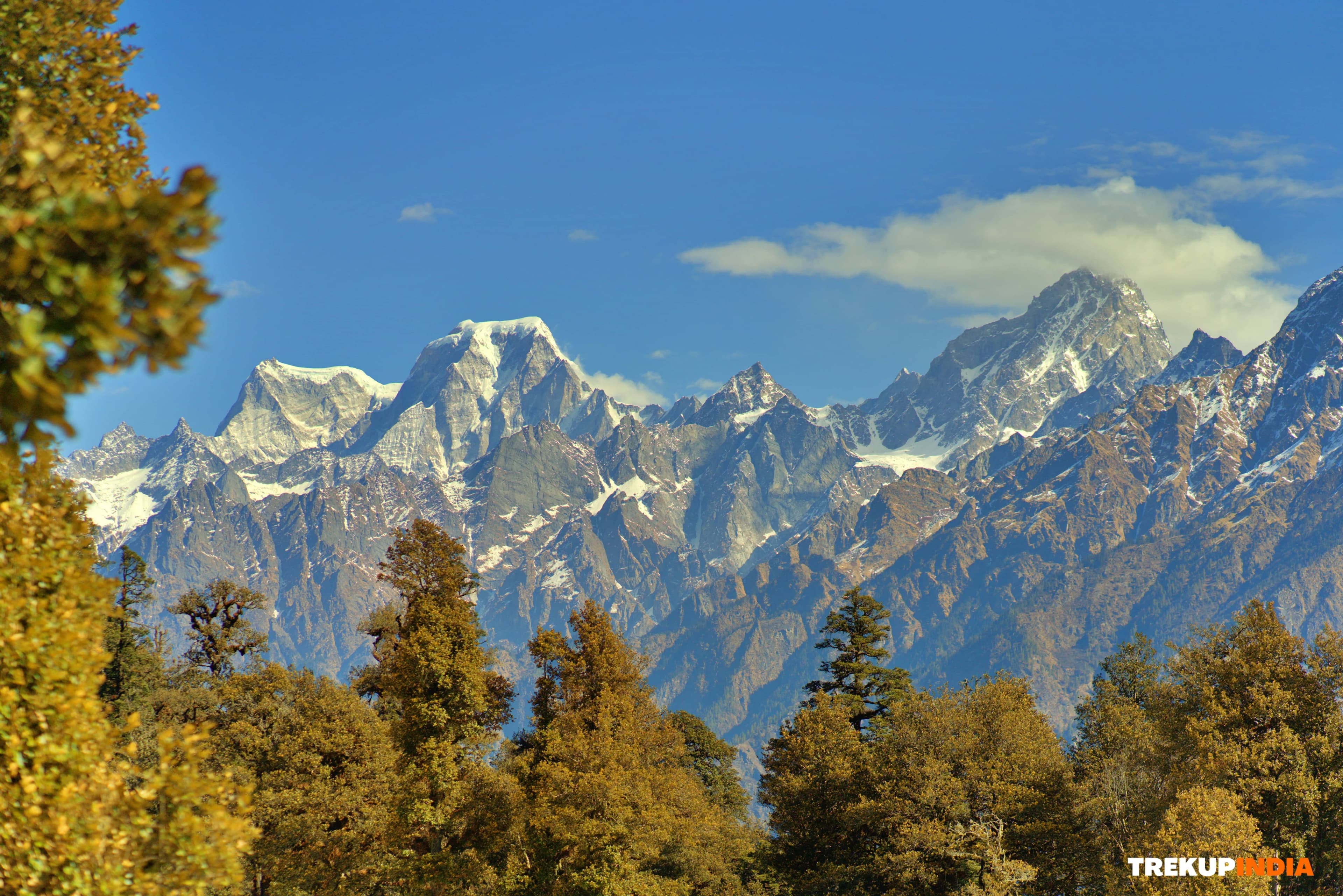 Gallery img 5 Gallery img 5