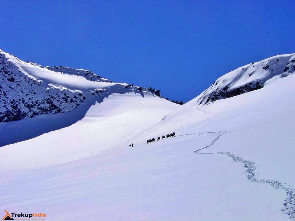 Gallery img 1 Gallery img 1