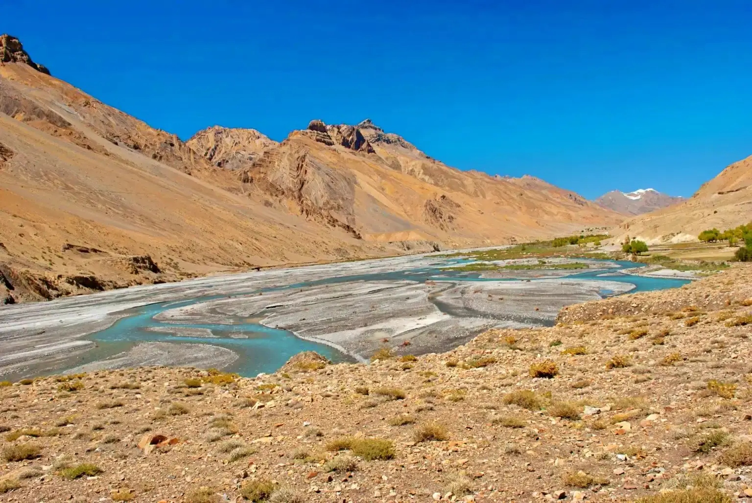 Gallery img 4 Gallery img 4