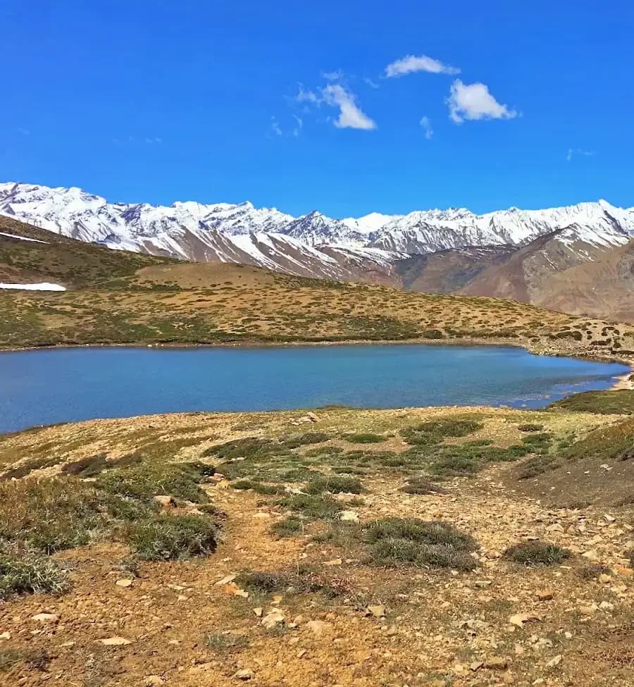 Gallery img 5 Gallery img 5