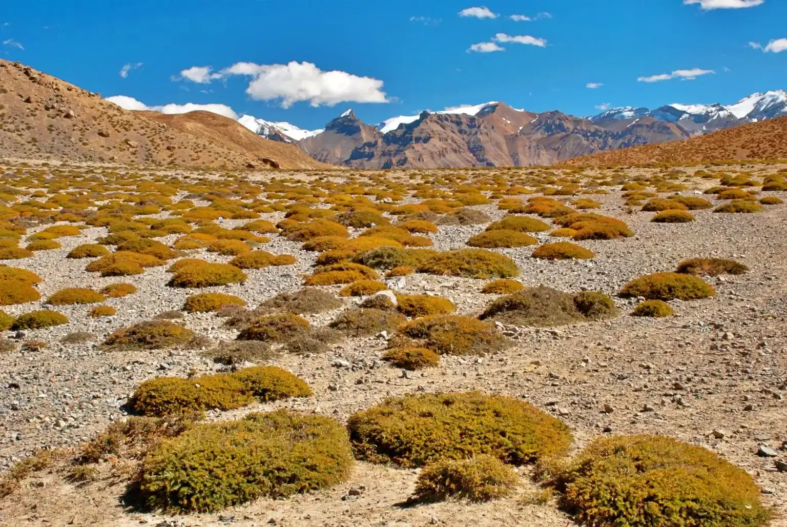 Gallery img 6 Gallery img 6