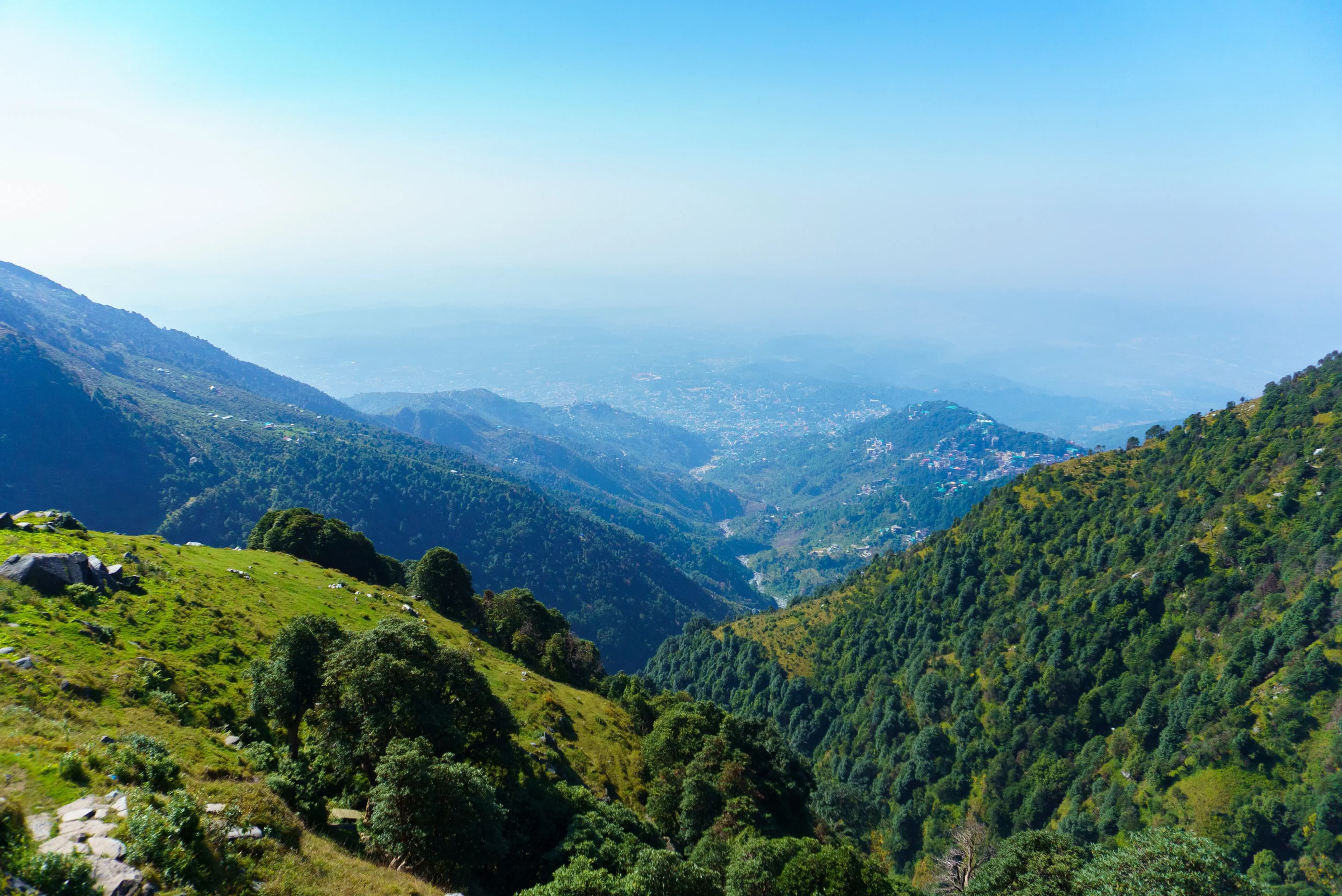 Gallery img 5 Gallery img 5