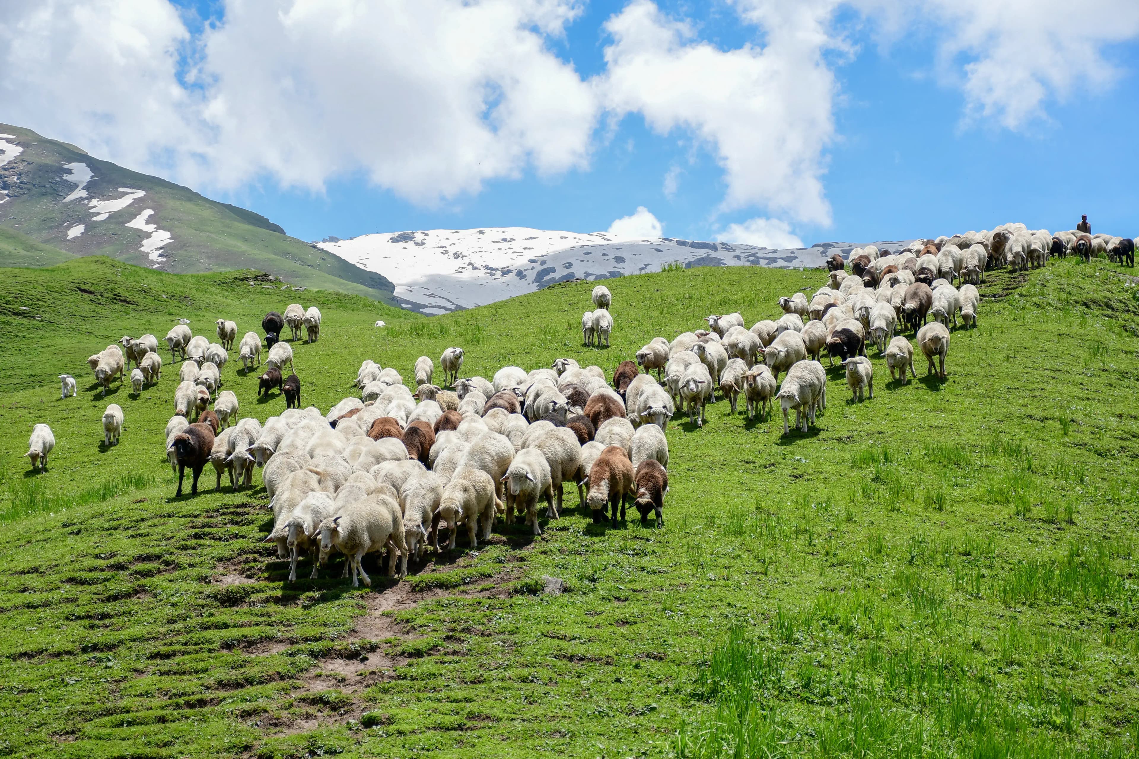 Gallery img 9 Gallery img 9