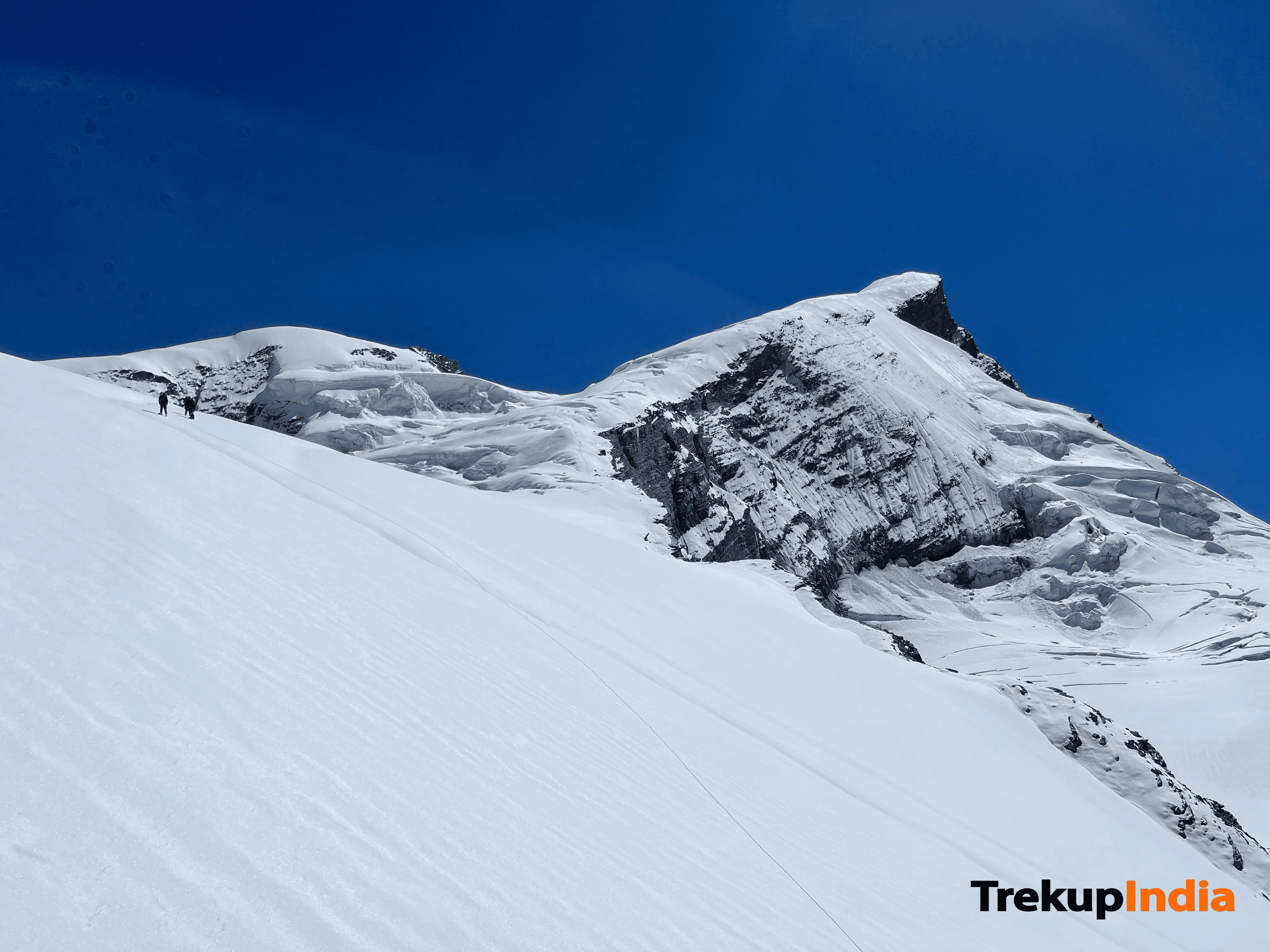 Gallery img 11 Gallery img 11