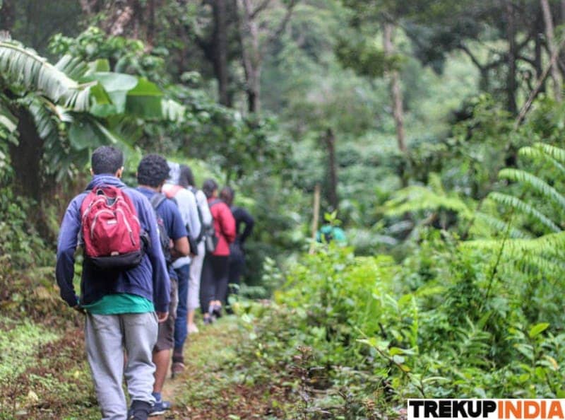 Brahmagiri Range Trek | Scenic Western Ghats Trek in Karnataka
