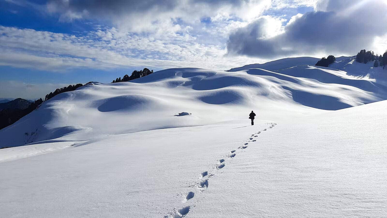 dayara-bugyal-trek dayara-bugyal-trek