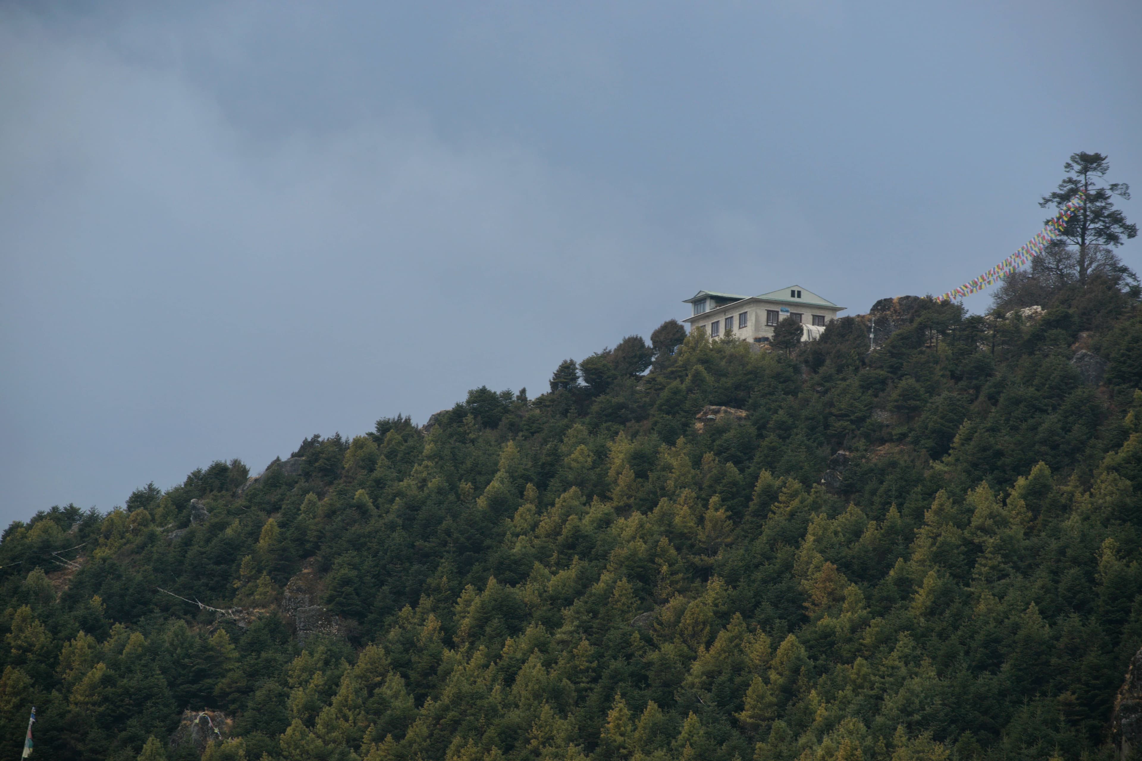 Gallery img 6 Gallery img 6