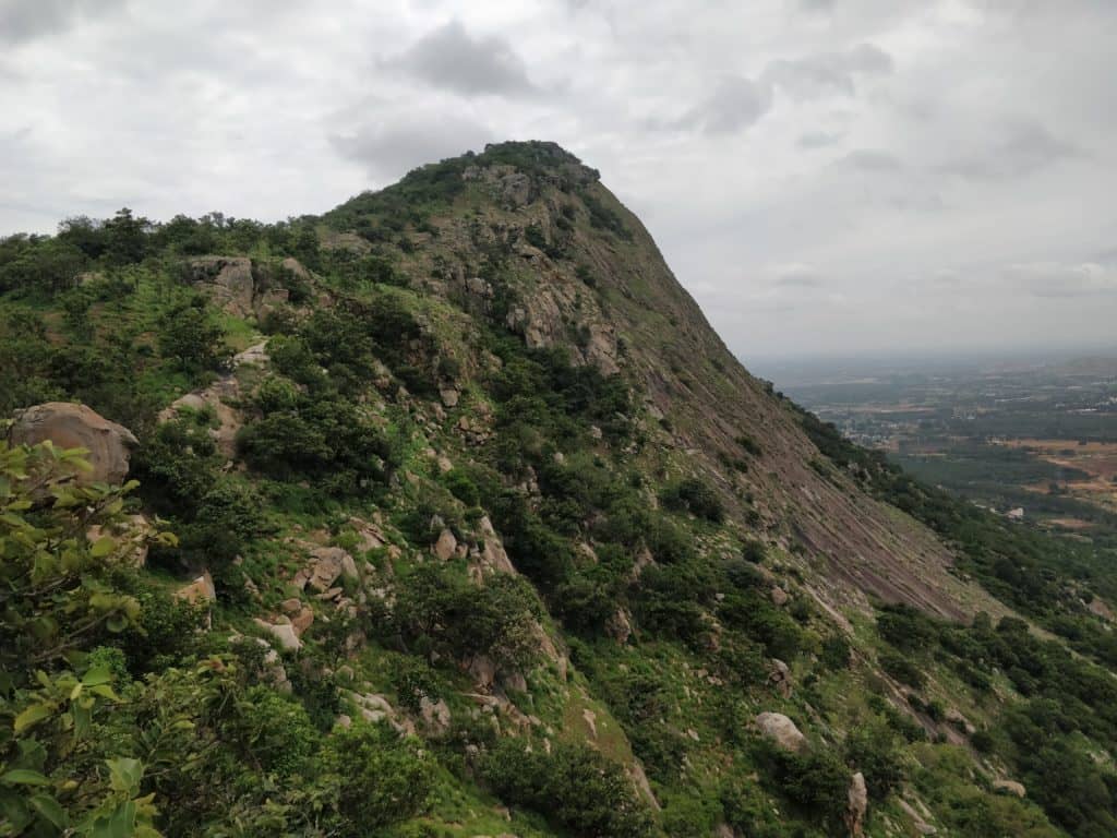 Horagina Betta Trek: A Picturesque Day Adventure