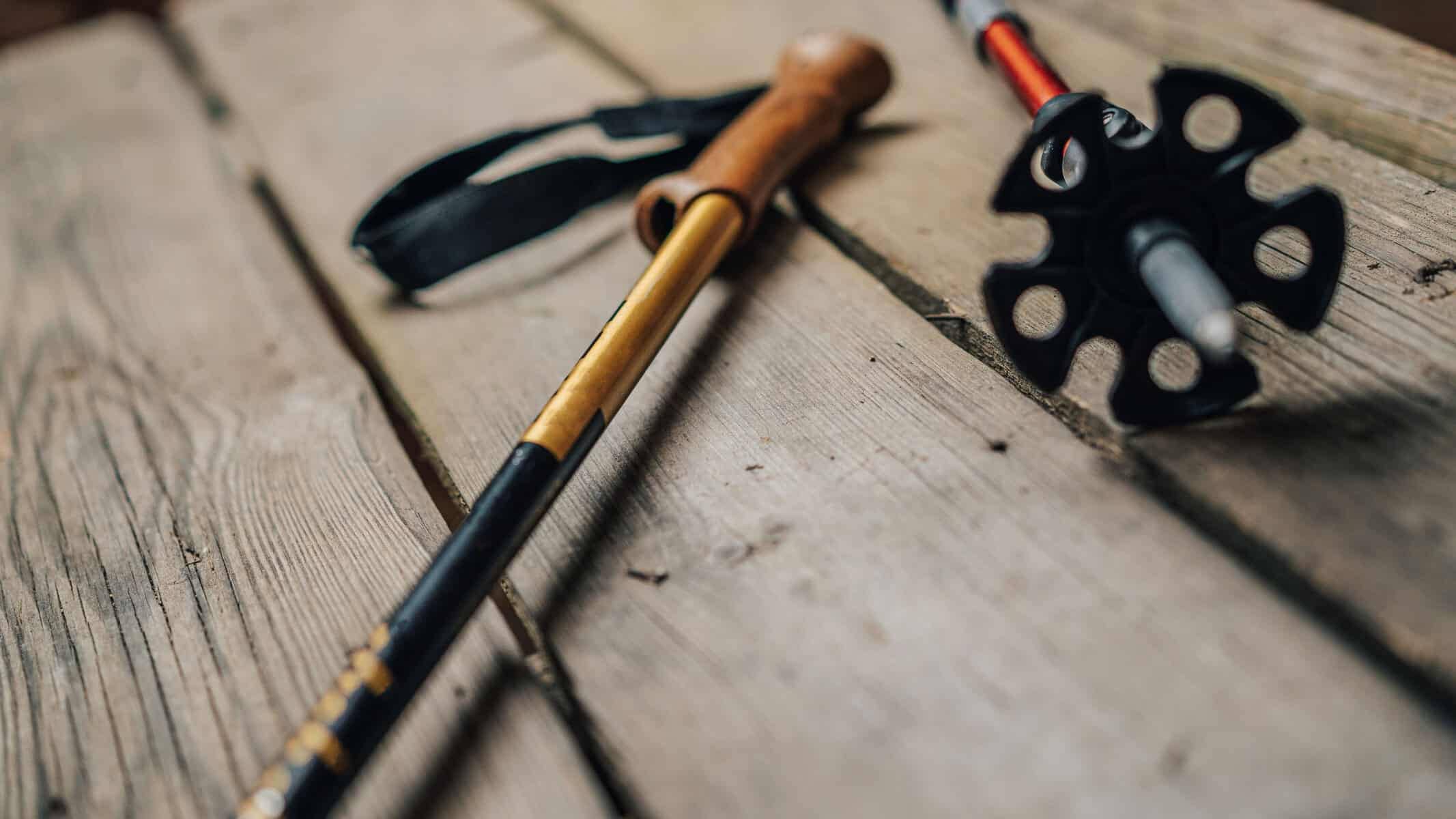 Trekking Pole Techniques & Benefits for Indian Trails