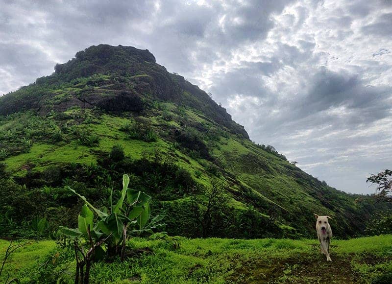 Kamandurg Trek – Adventurous Fort Trek Near Vasai, Maharashtra