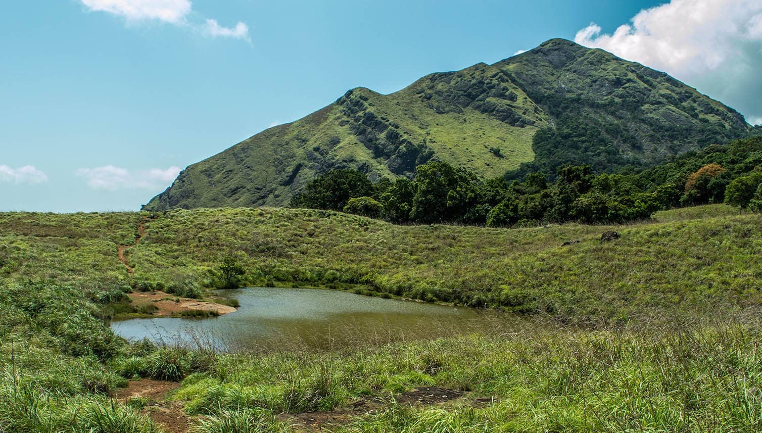 Pakshipathalam Trek | Wayanad Wildlife Sanctuary Trek Guide