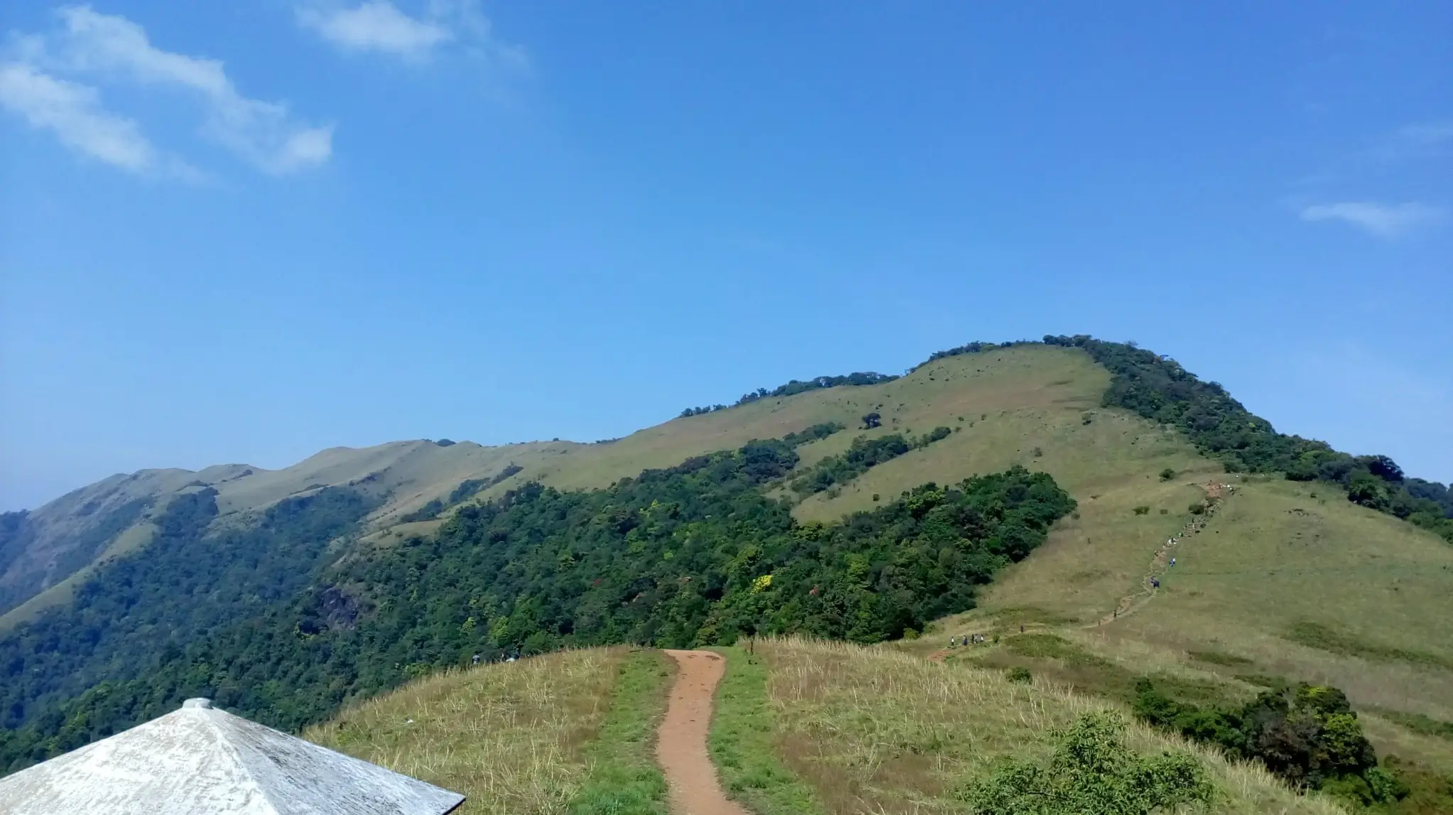 Paithalmala Trek | Highest Peak in Kannur, Route & Best Time