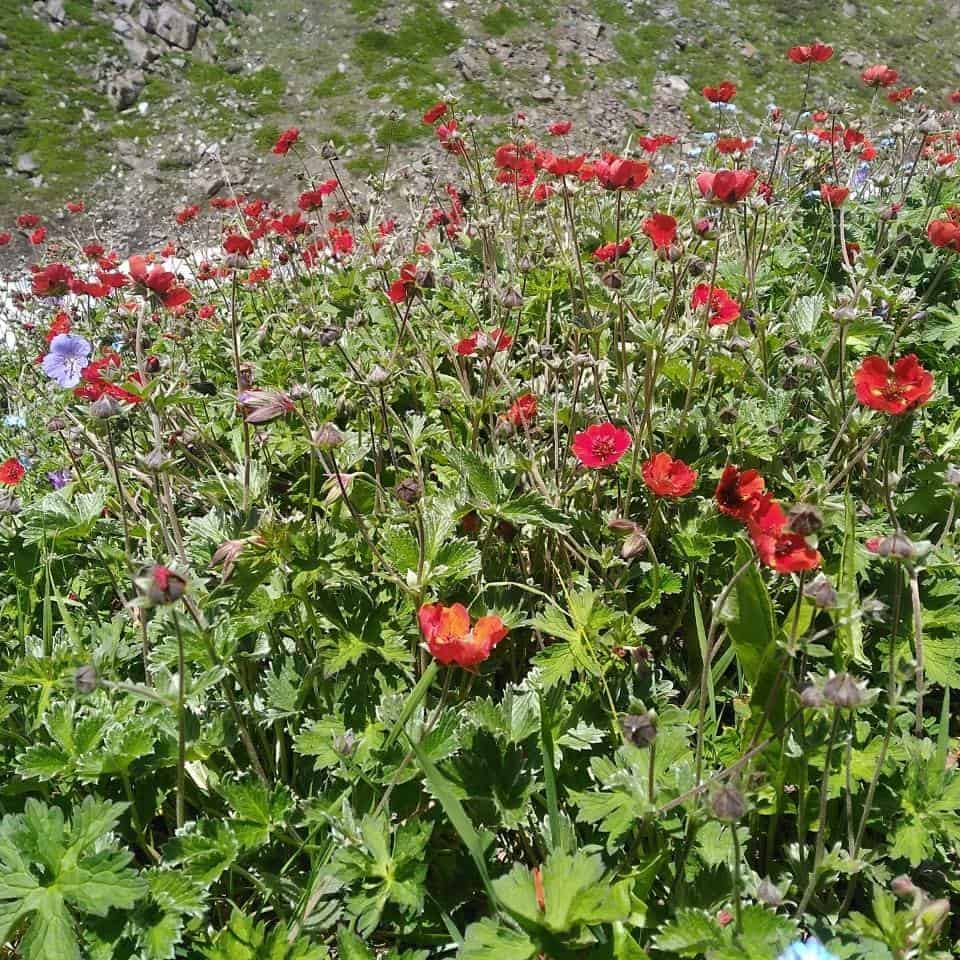 Gallery img 7 Gallery img 7