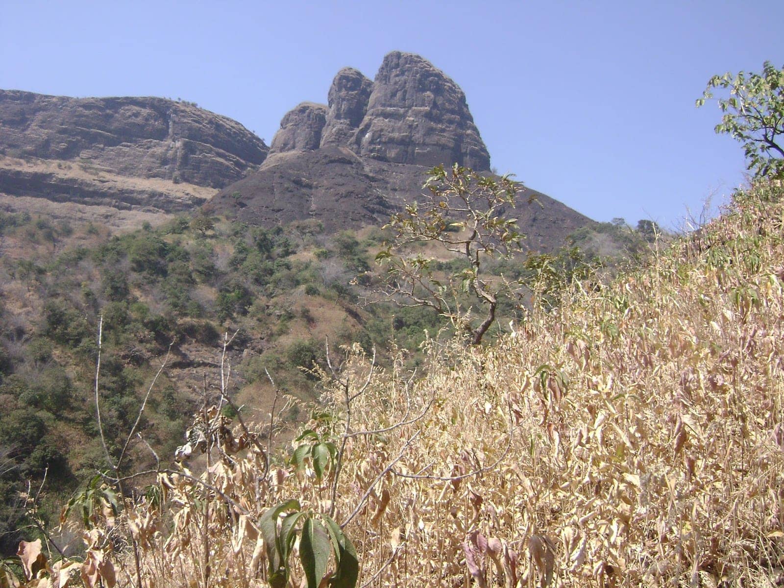 The Tavli Trek | Scenic Sahyadri Ridge Trek in Maharashtra