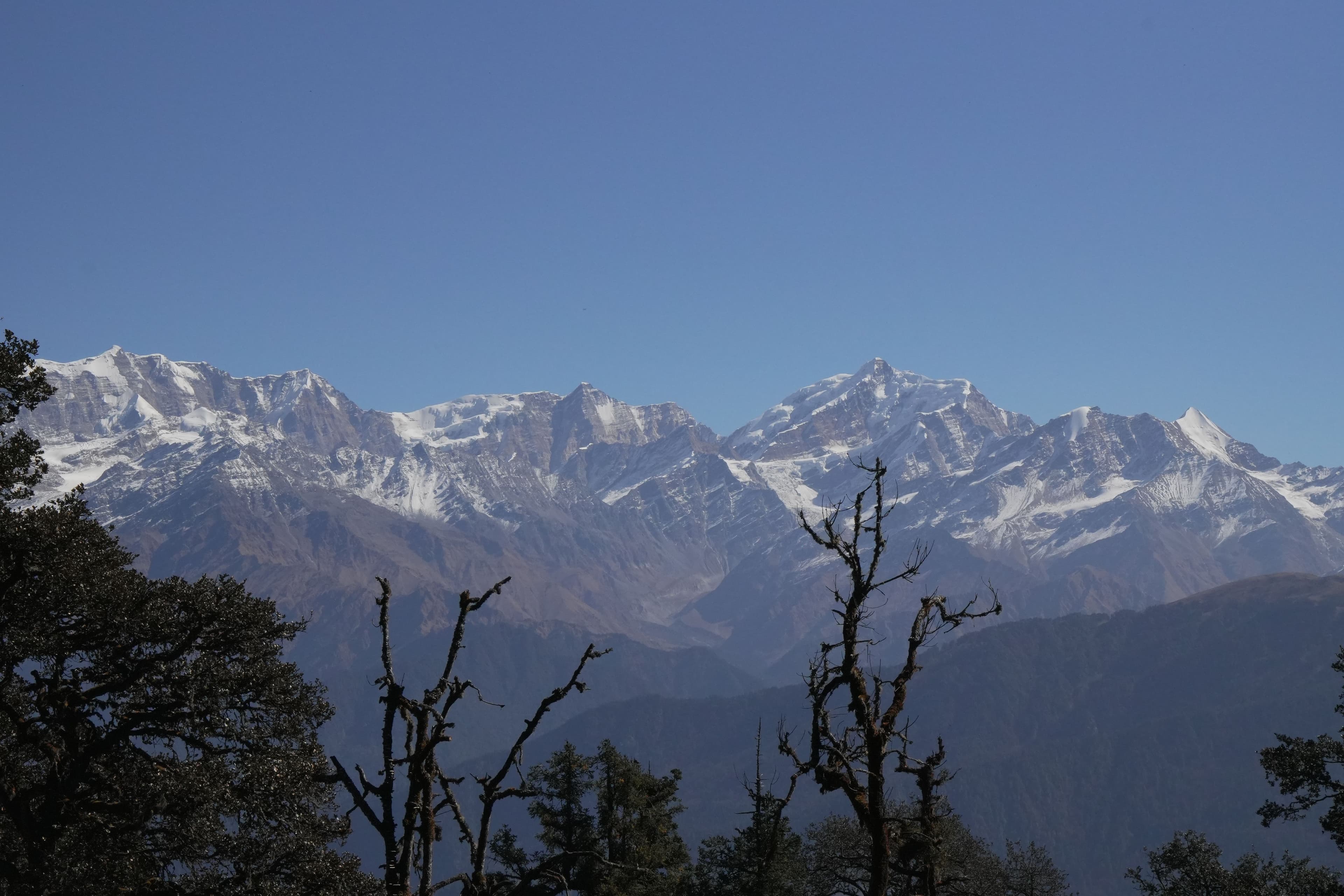 About Trekup India – Himalayan Trekking Experts Since 1993