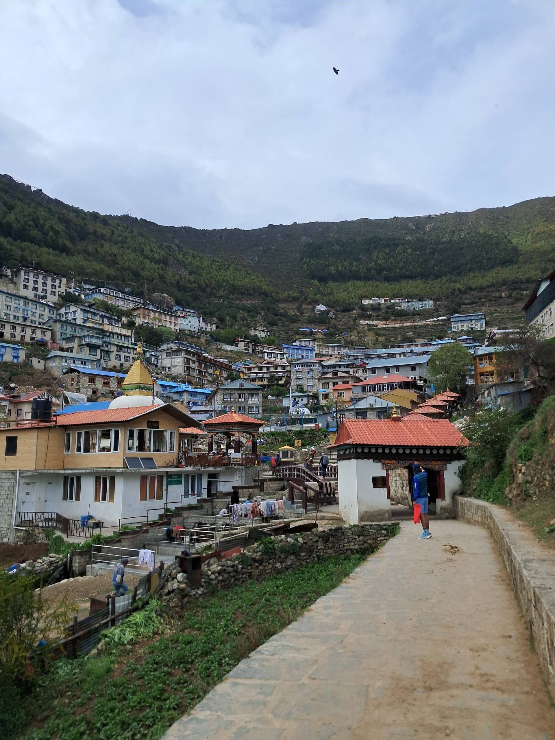 1 bottom left 1 bottom left