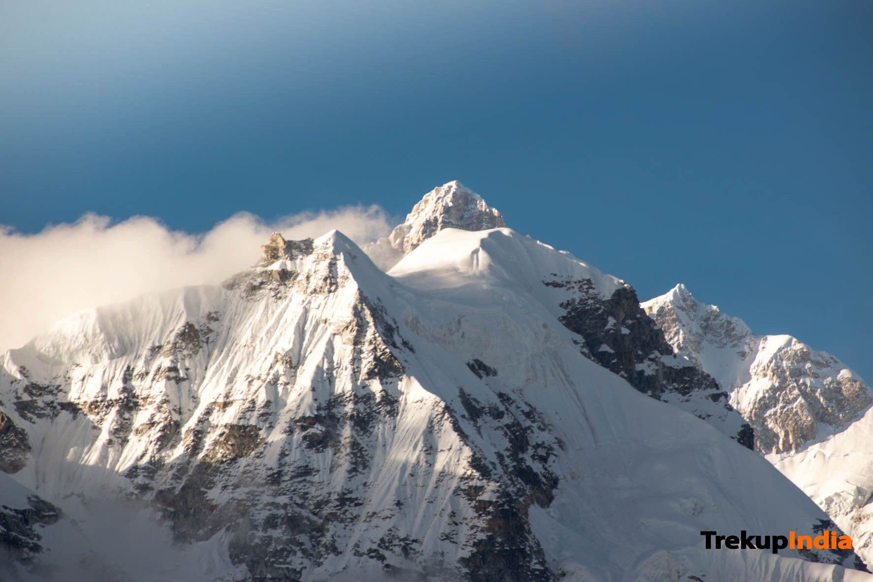 Gallery img 8 Gallery img 8