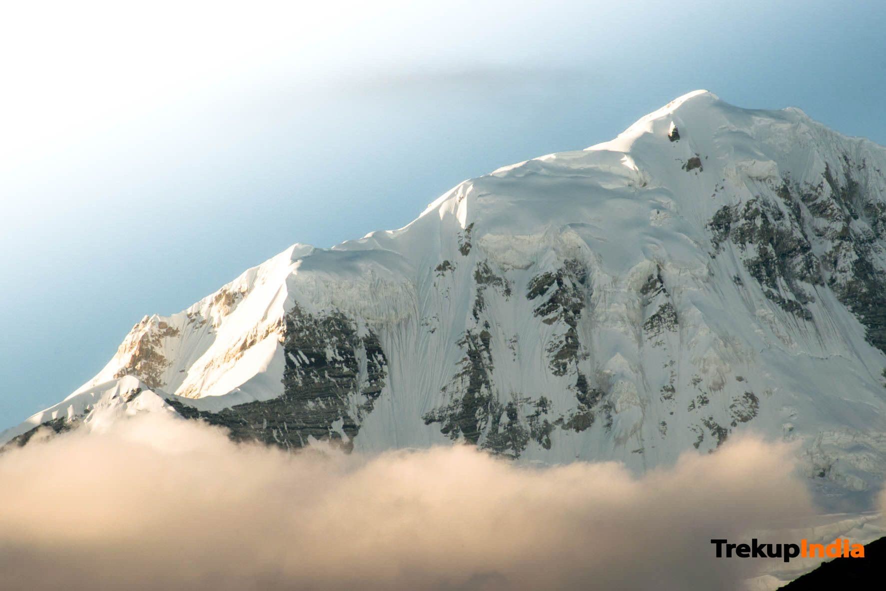 Gallery img 5 Gallery img 5