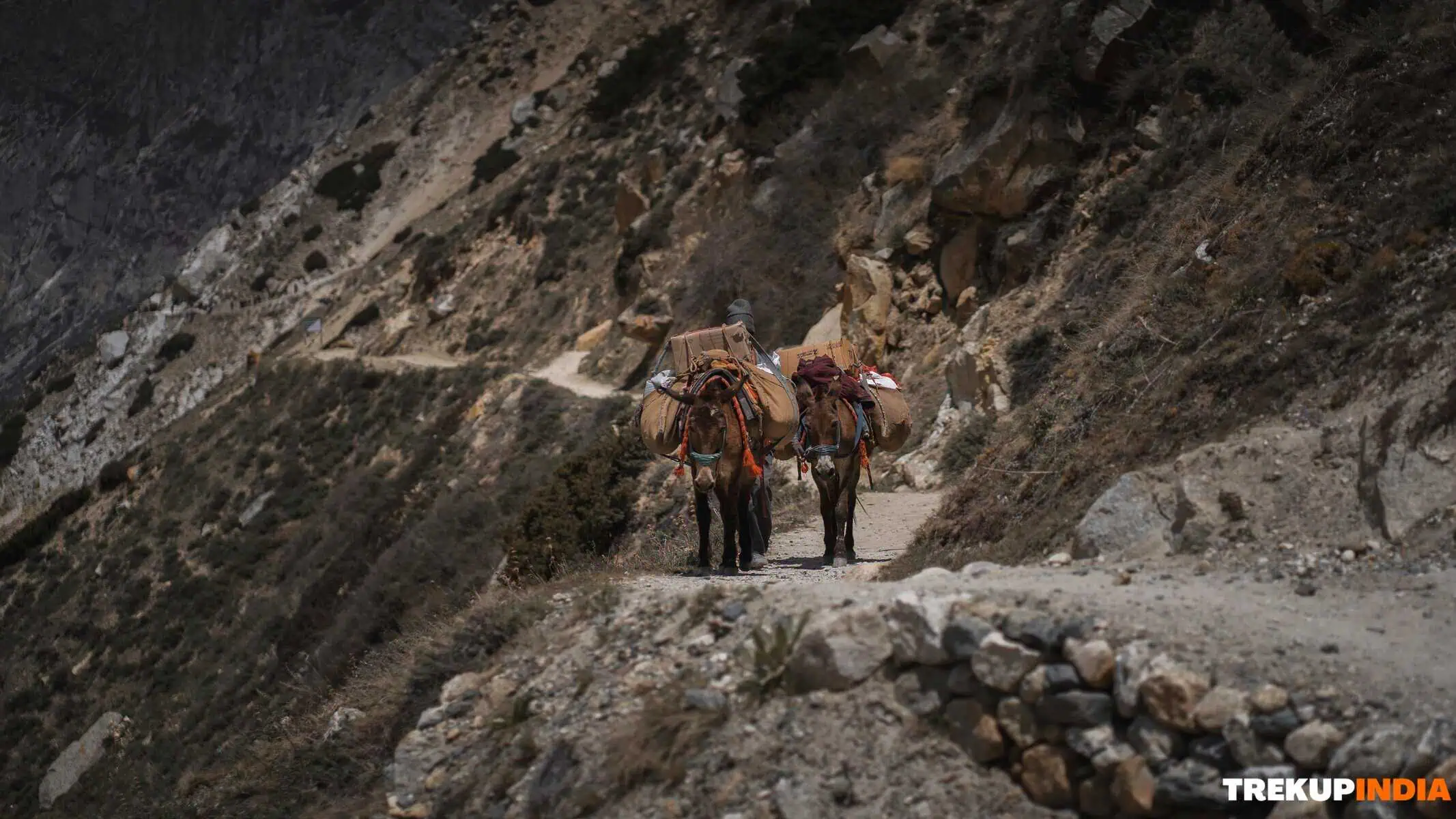 Gaumukh Tapovan Trek – Day 2