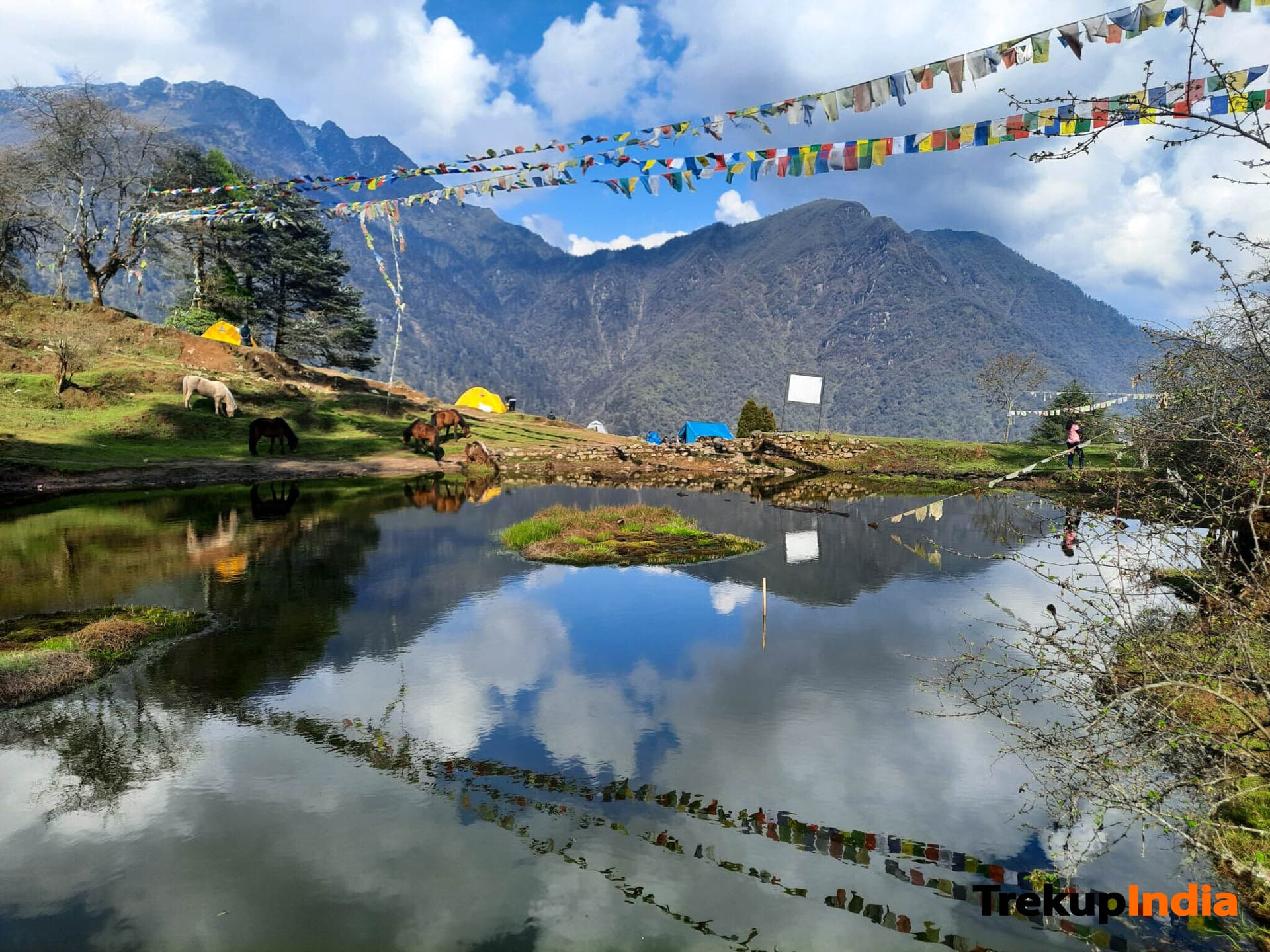 Goechala Trek – Day 7
