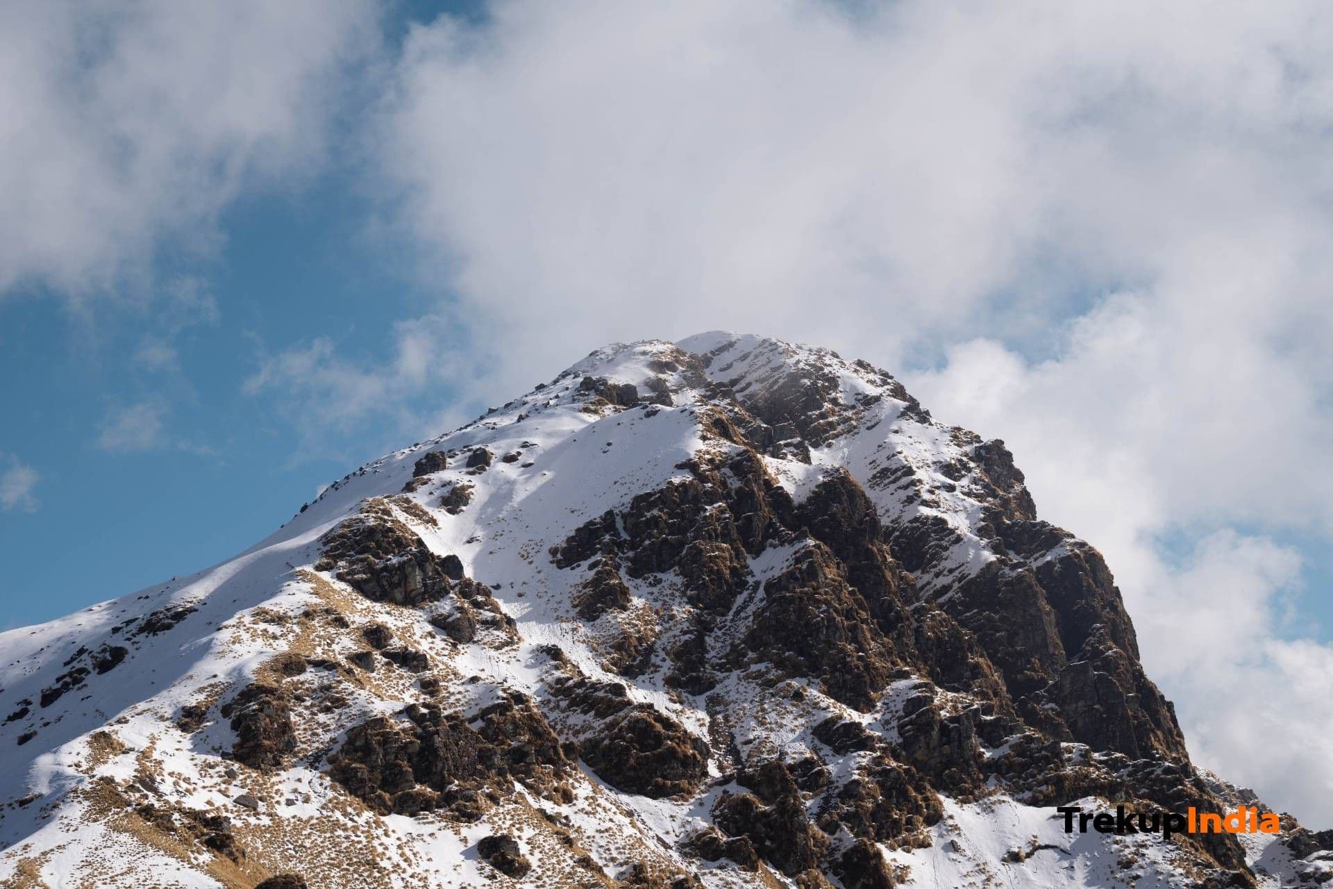 The Snow Leopard Tracking In Ladakh